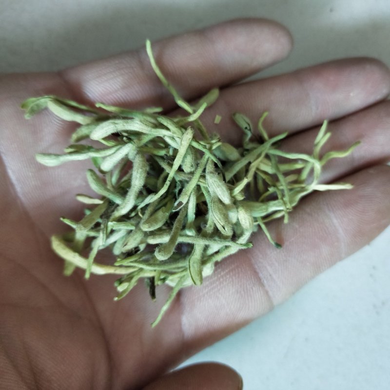 金银花新货