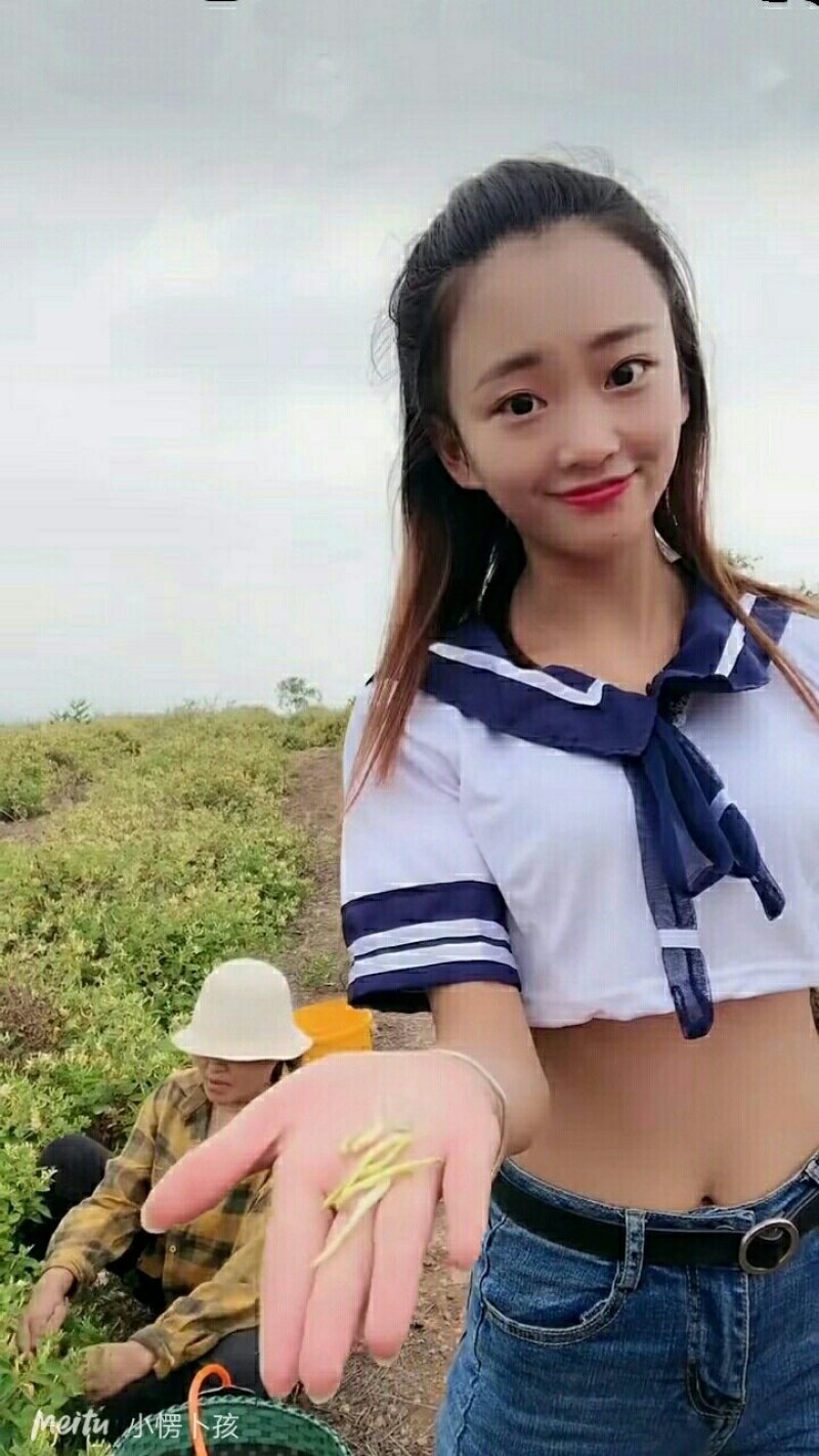 特级金银花批发