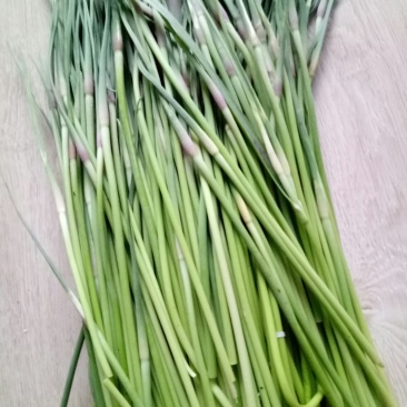 蒜薹