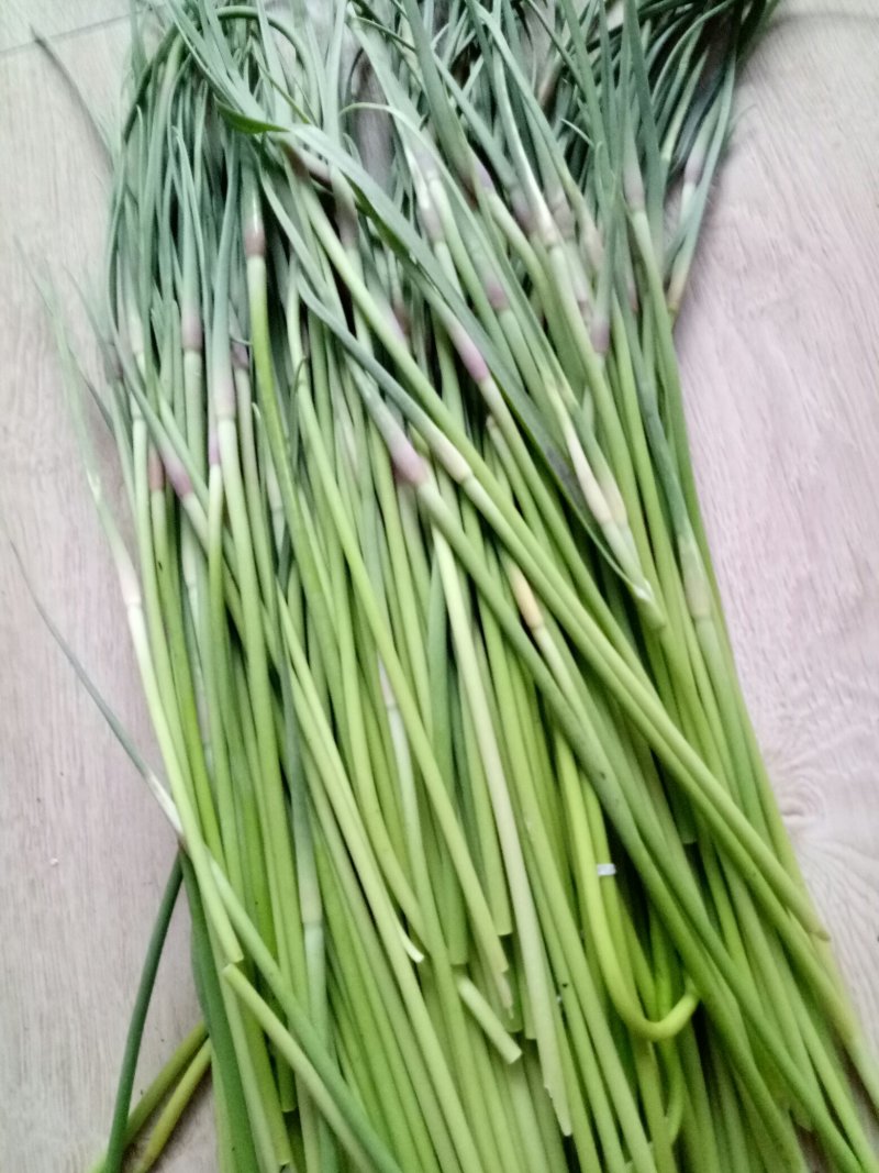 蒜薹