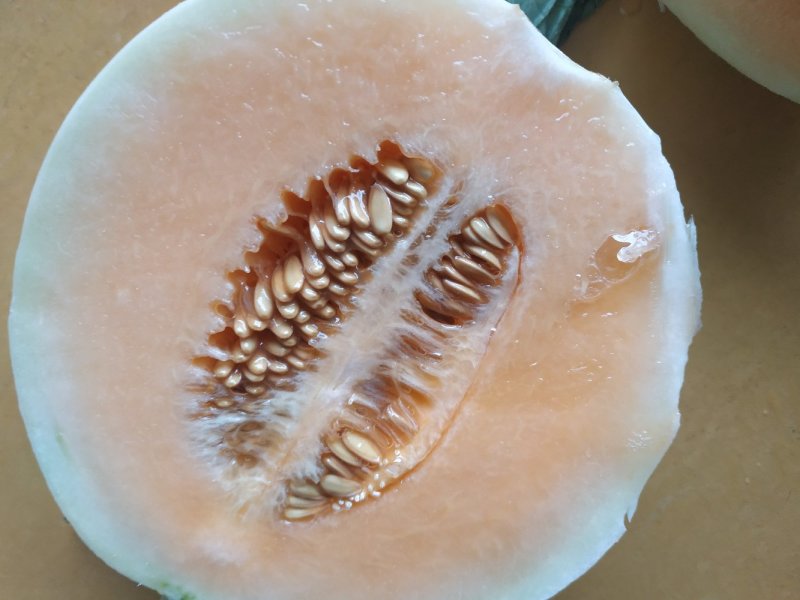 娇子白皮红肉系例甜瓜