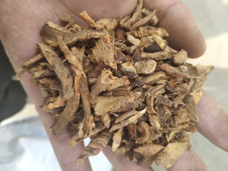 之母炒知母盐之母量大优惠
