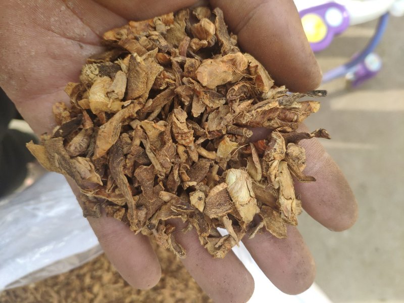 之母炒知母盐之母量大优惠