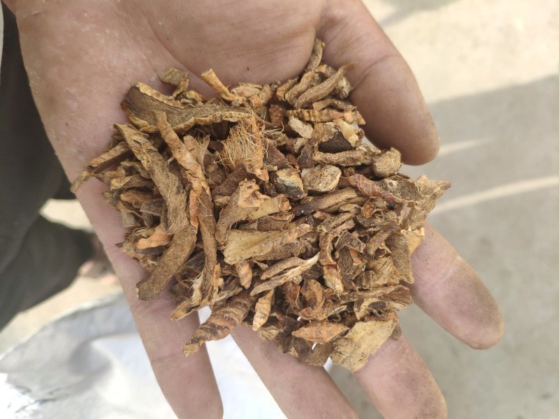 之母炒知母盐之母量大优惠
