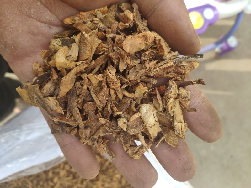 之母炒知母盐之母量大优惠