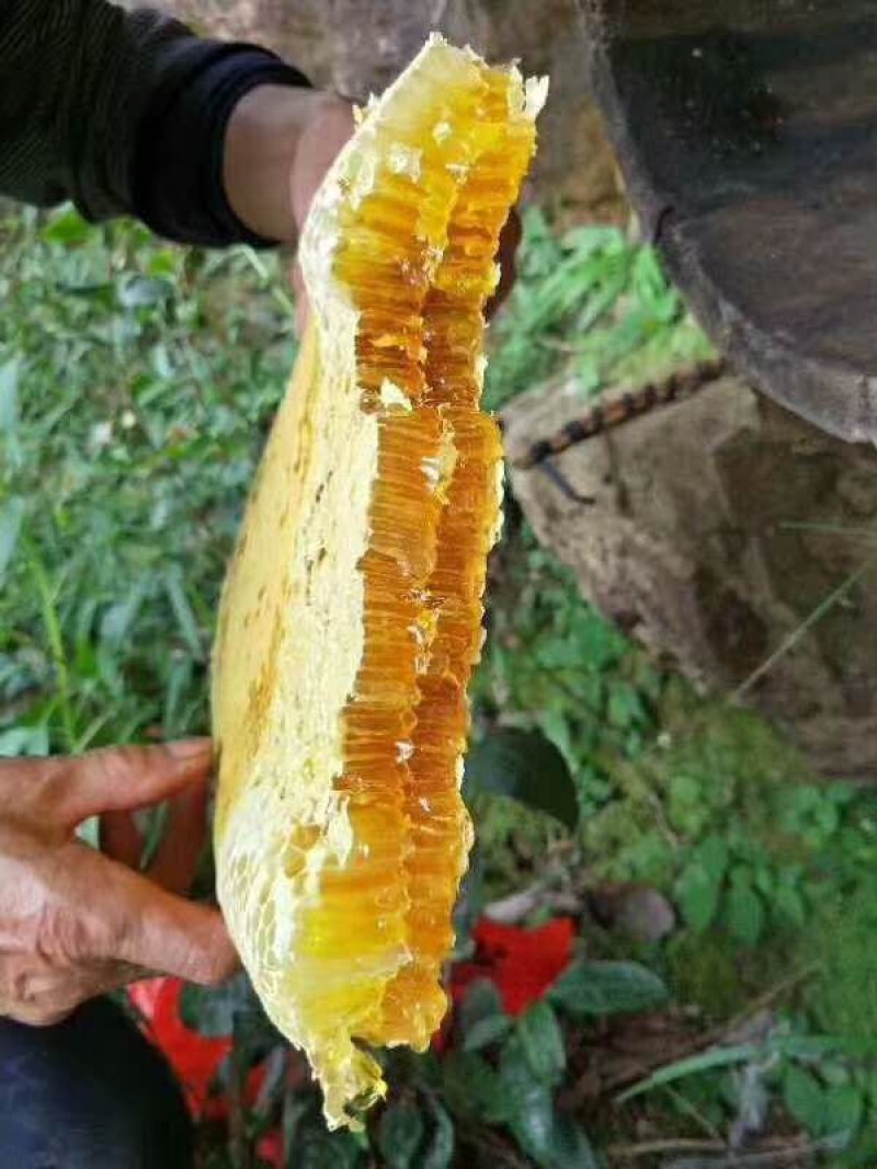 正宗高山纯蜂蜜