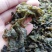地皮菜，地软