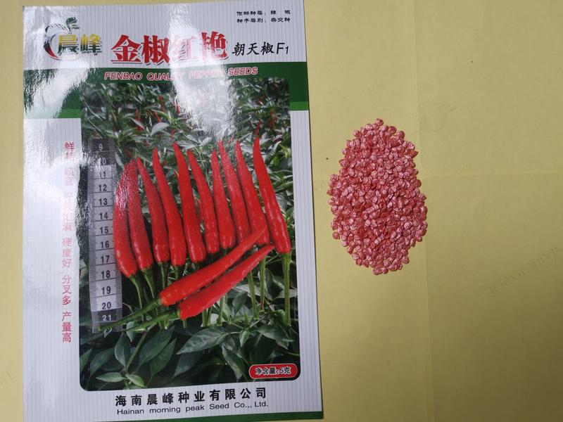金椒红艳，高产抗病大果型朝天椒，，顺直光滑，品质保障