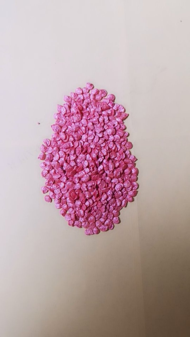 3号线椒种子，高产抗病顺直光滑，品质保障