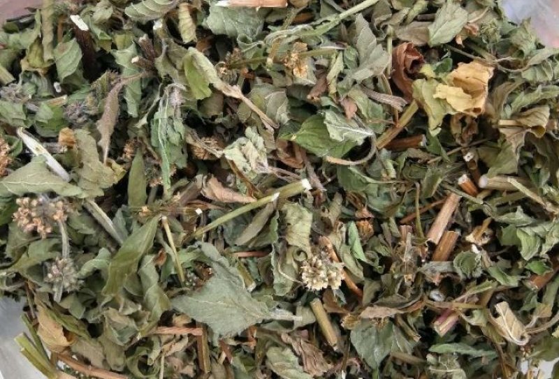 薄荷产新薄荷全颗切片干净无杂色泽青