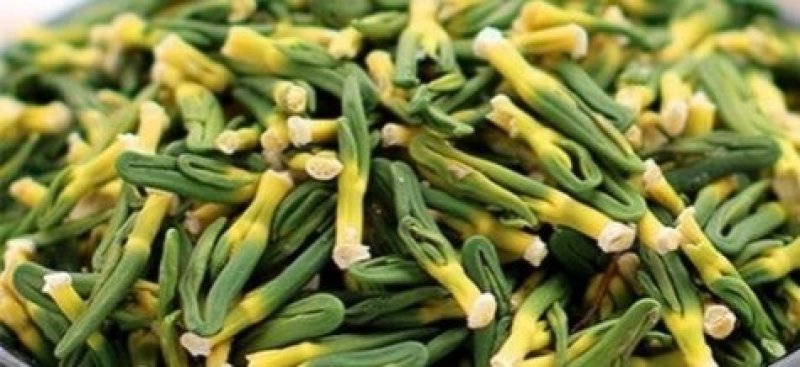 莲子芯新货莲子芯颜色青干净无杂大货批发零售正品
