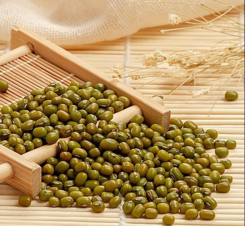 海兴特产绿豆农家自产生笨绿豆毛绿豆五谷杂粮