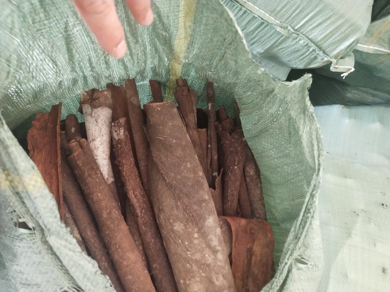 缅甸桂皮，通货
