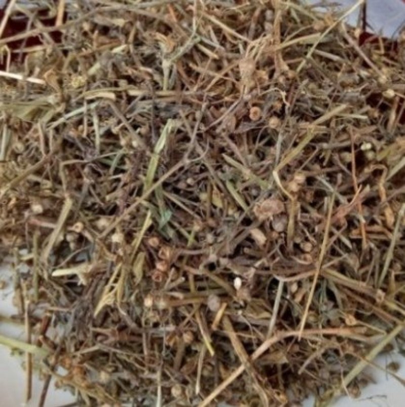 白花蛇舌草新货白花蛇舌草干净无杂质散装发货