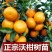 嫁接沃柑桔苗品种保证口感好易管理抗寒抗病能强