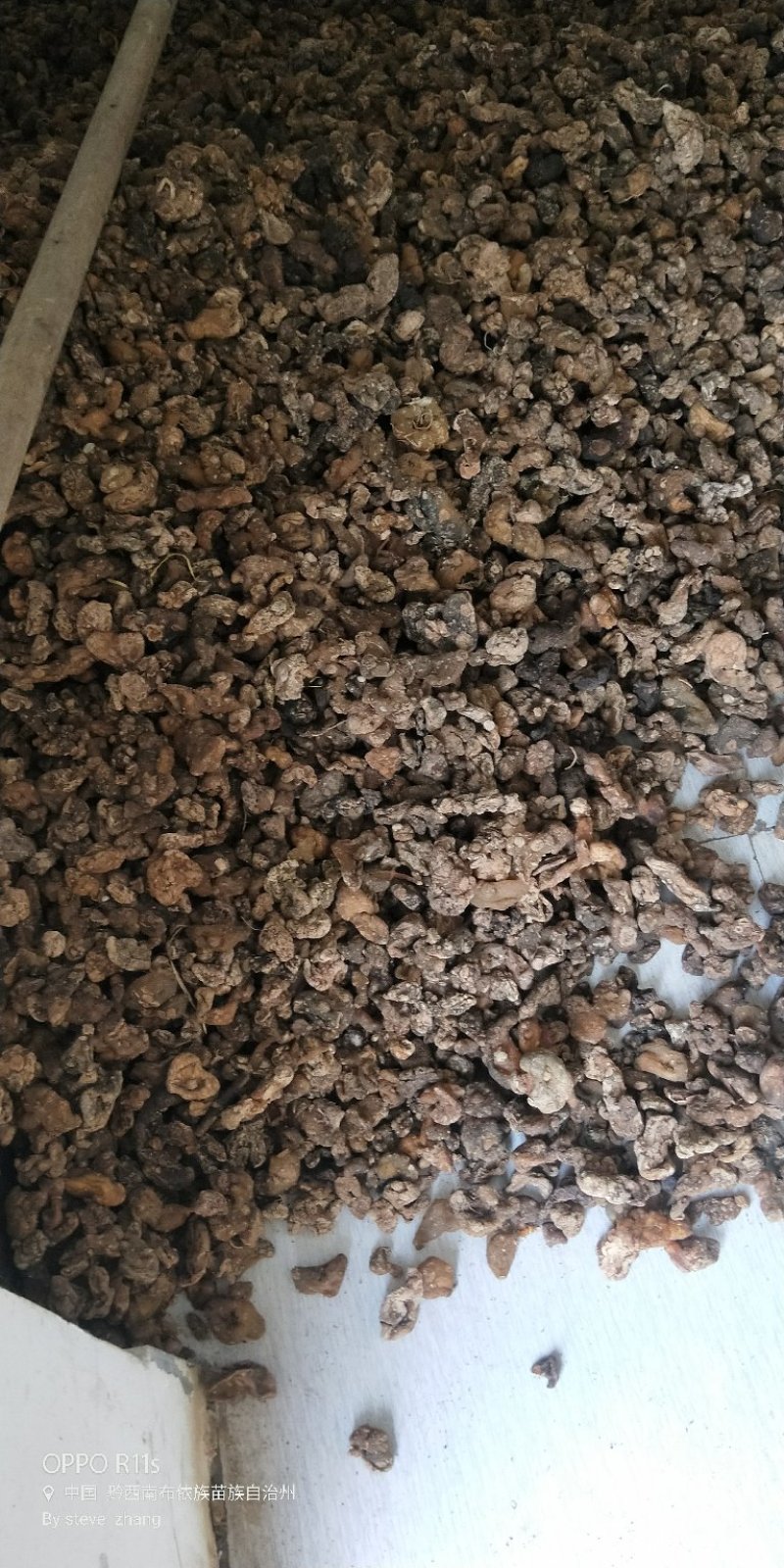 黄精