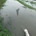 龙虾