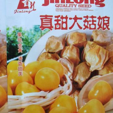 菇娘果，品种纯正，产量高。黄色的果个大口感较甜，红色