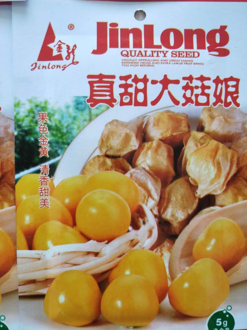 菇娘果，品种纯正，产量高。黄色的果个大口感较甜，红色