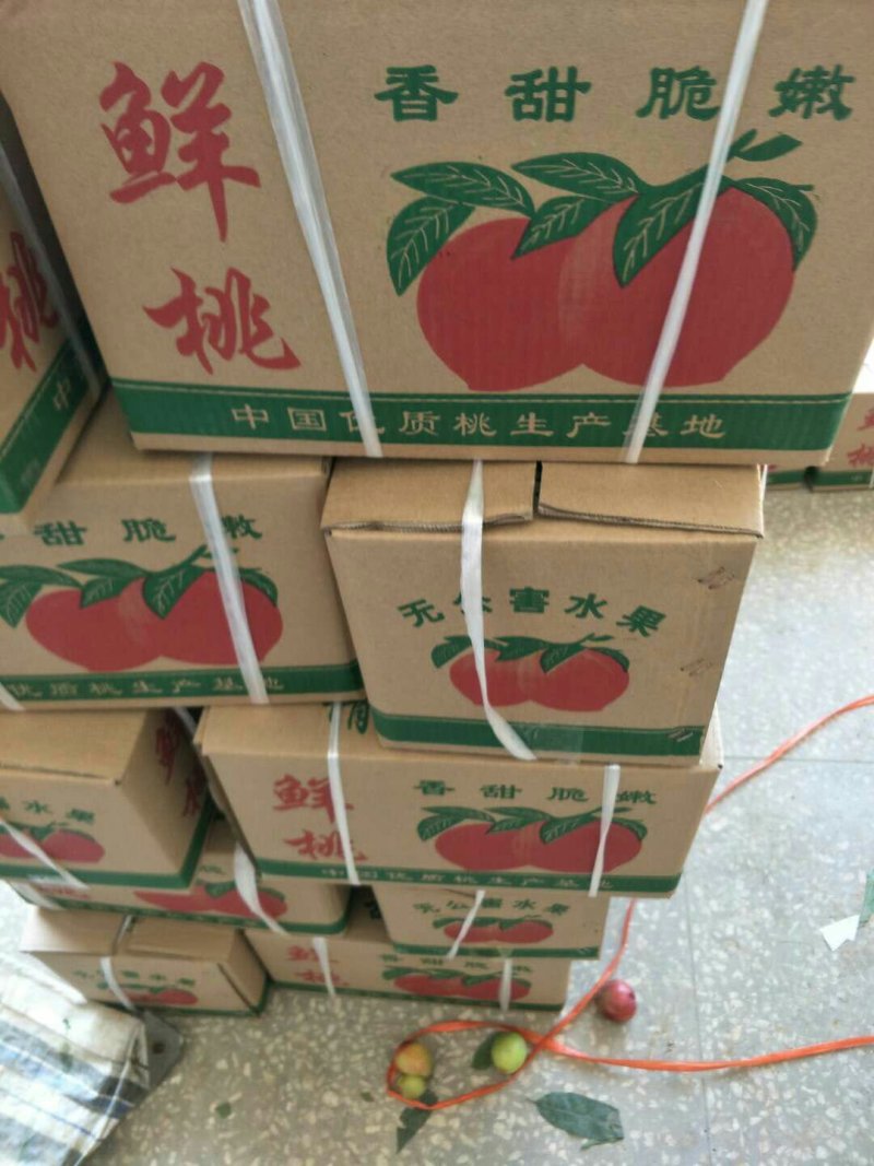 油桃6/7/8个一斤