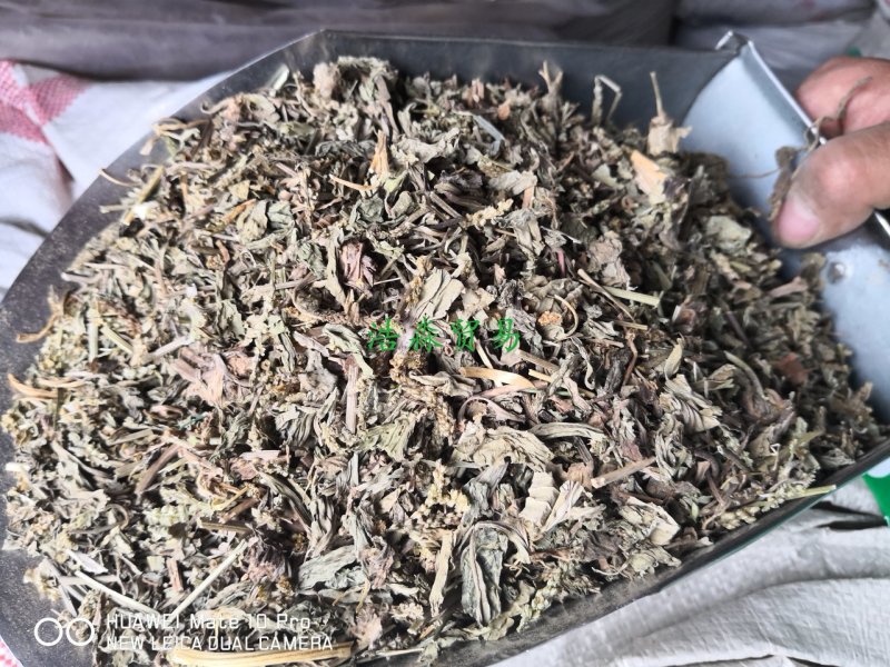 车前草量大从优常年经营各种中药材