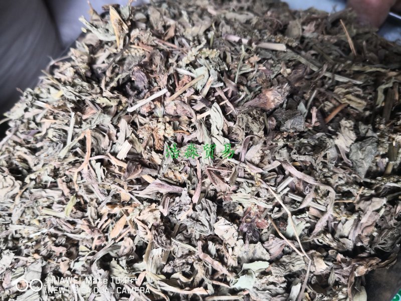 车前草量大从优常年经营各种中药材
