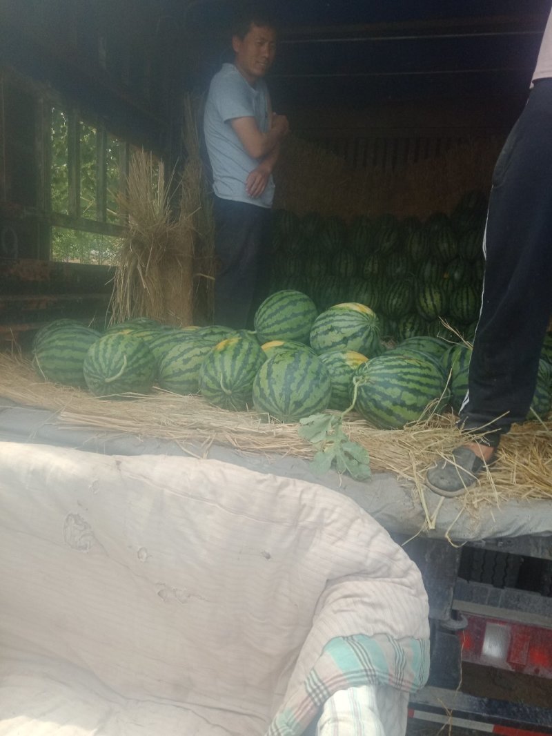 甜王西瓜大量上市上市中一级货源保熟保甜