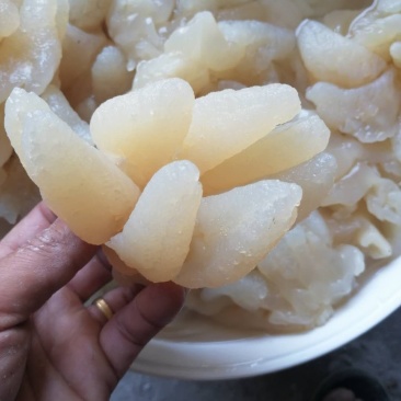 海蜇头～八爪蛰新货可视看货酒店精美凉菜，全国发货