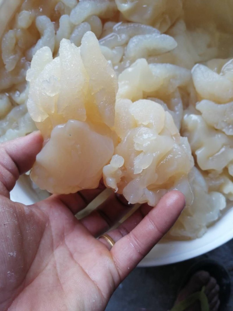 海蜇头～八爪蛰新货可视看货酒店精美凉菜，全国发货