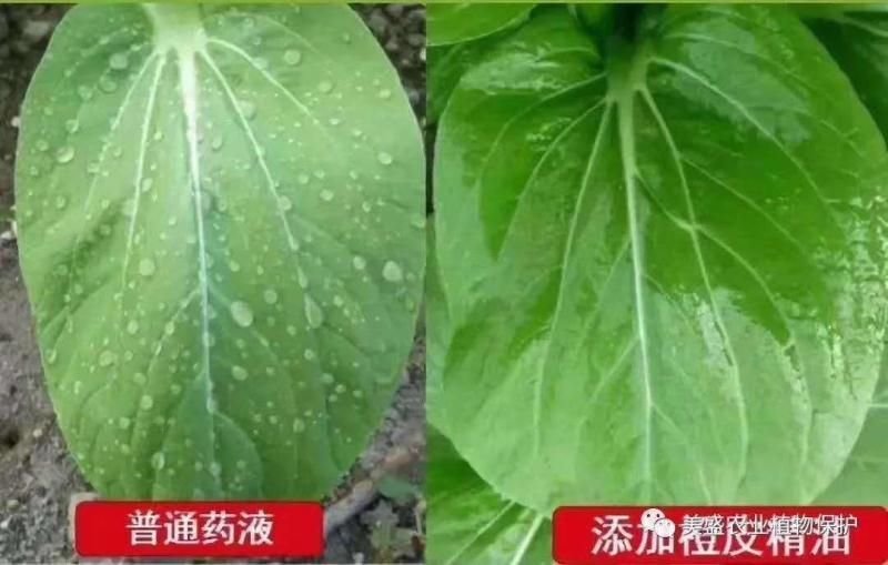 专用增效助剂柠檬精油复配杀虫剂杀菌剂叶面肥，效果翻倍