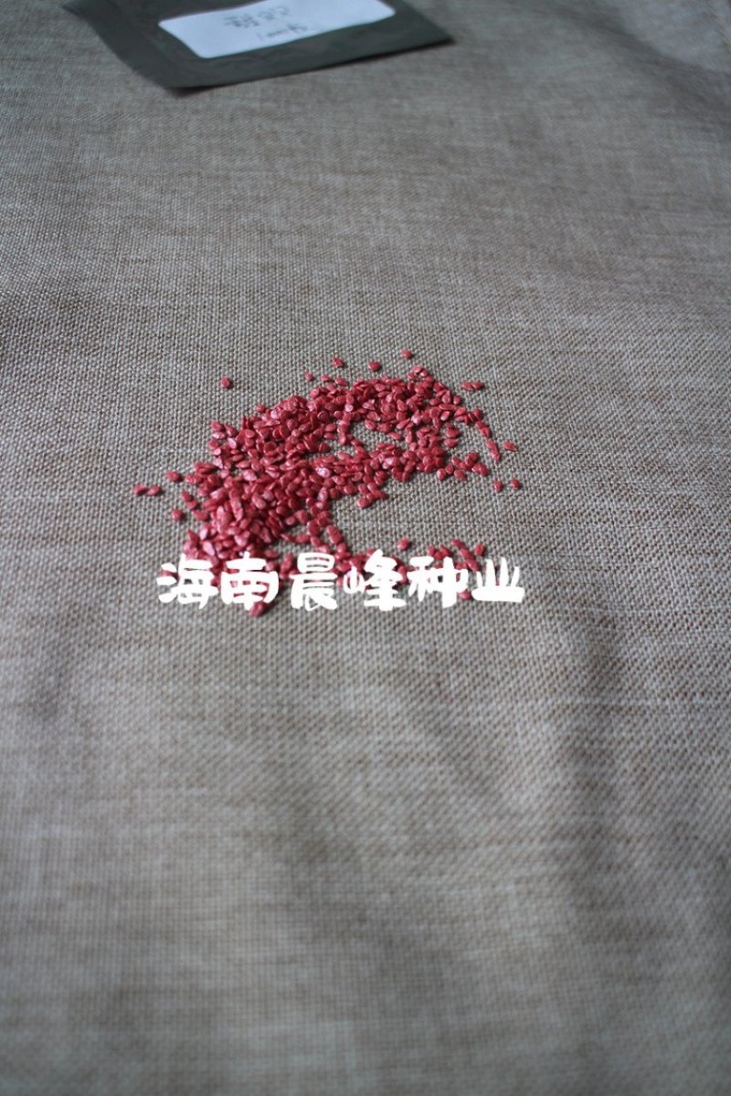 高甜度高产抗病，甜喜三号粉红色千禧种子