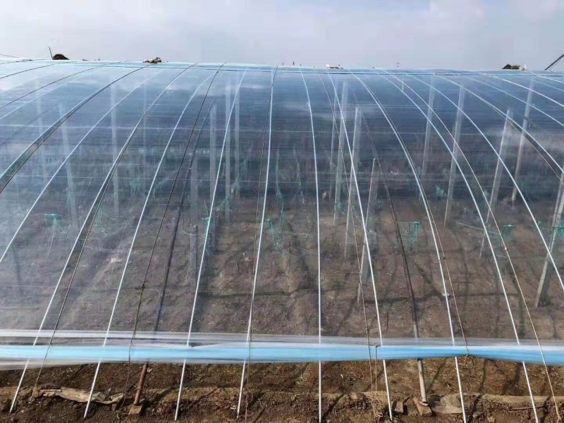 精品5+1水晶PO膜暖棚专用(寿光当地热销膜)