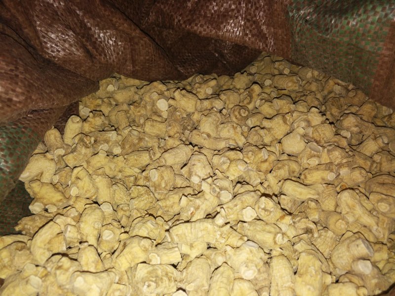 长白山多年无磺西洋参软粒头精品促销，各种规格。