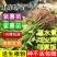 红薯苗