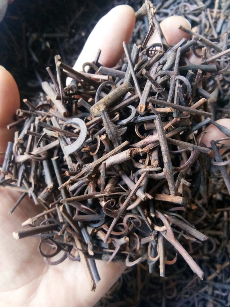 钩藤湖南无硫熏选货~统货一公斤起包邮