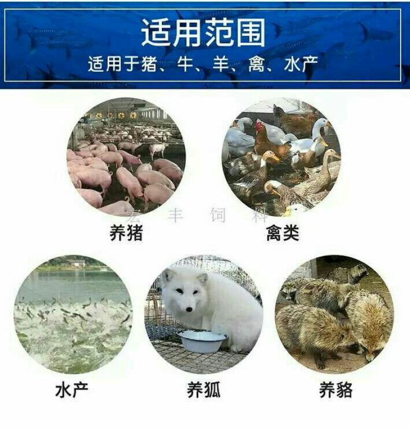 厂家直销进口秘鲁蒸汽鱼粉65蛋白鸡蛋鸭鹌鹑包邮量大优惠
