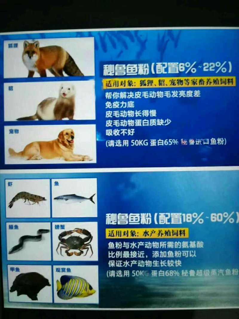 批发秘鲁进口鱼粉68蛋白鸡鸭鹌鹑鱼泥鳅饲料包邮量大优惠