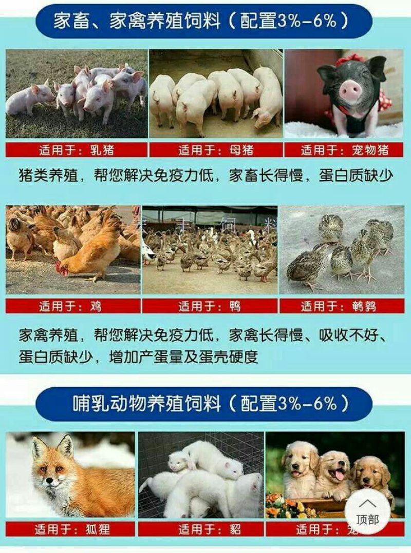 批发秘鲁进口鱼粉68蛋白鸡鸭鹌鹑鱼泥鳅饲料包邮量大优惠