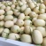 东方蜜1号翠梨小白瓜博洋9号小白瓜量大市场