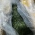 批发盐制海带丝（巨鲸水产出品）