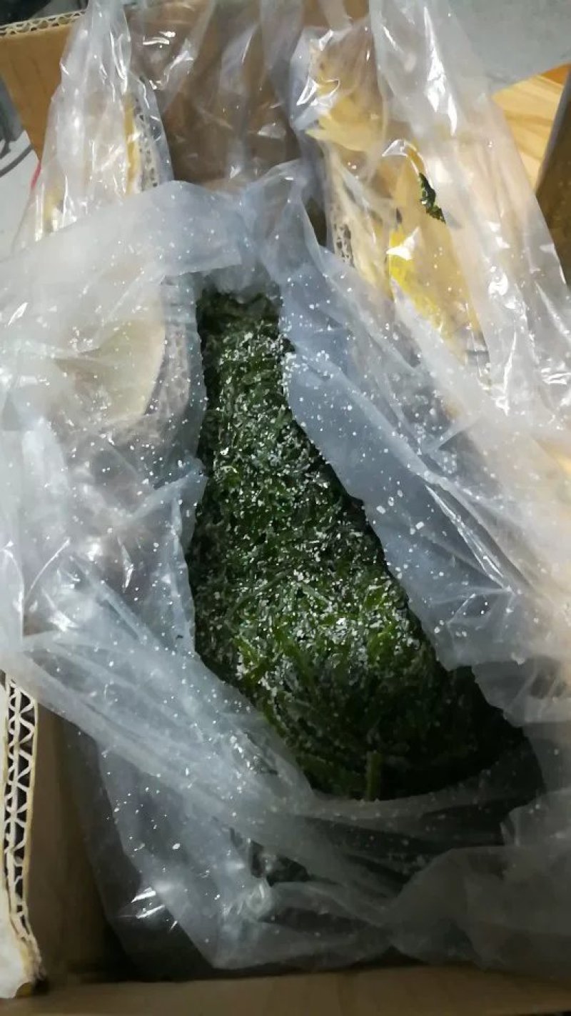 批发盐制海带丝（巨鲸水产出品）