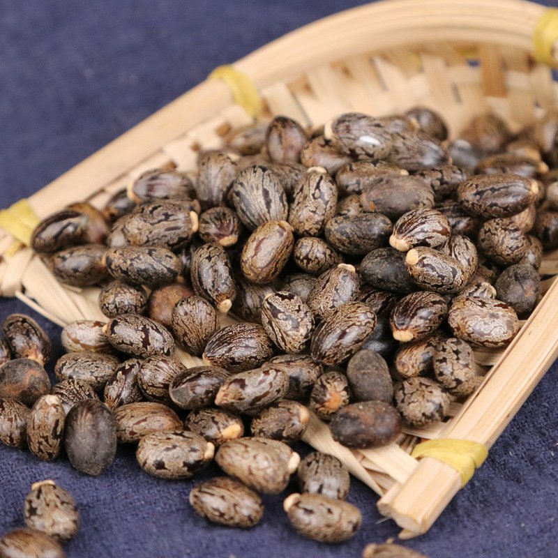 蓖麻子蓖麻仁供应上千种中药材