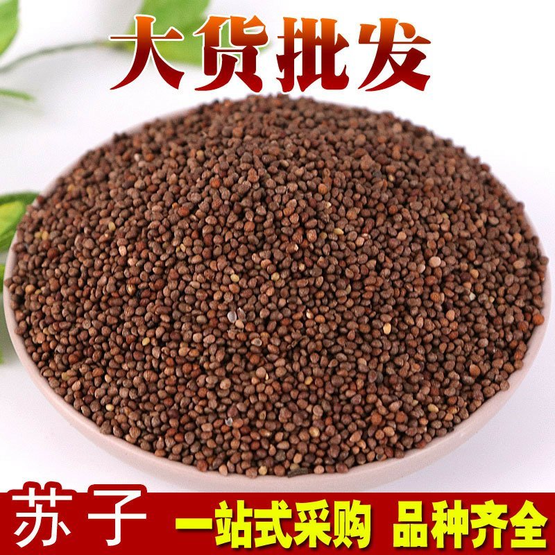 紫苏子苏子供应上千种中药材籽子药大全