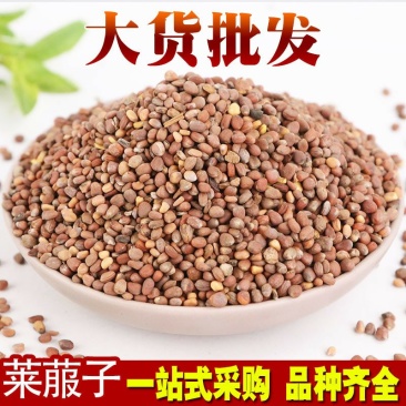 莱菔子萝卜子供上千种中药材籽子药大全