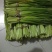 2019鲜蒜苔大量上市