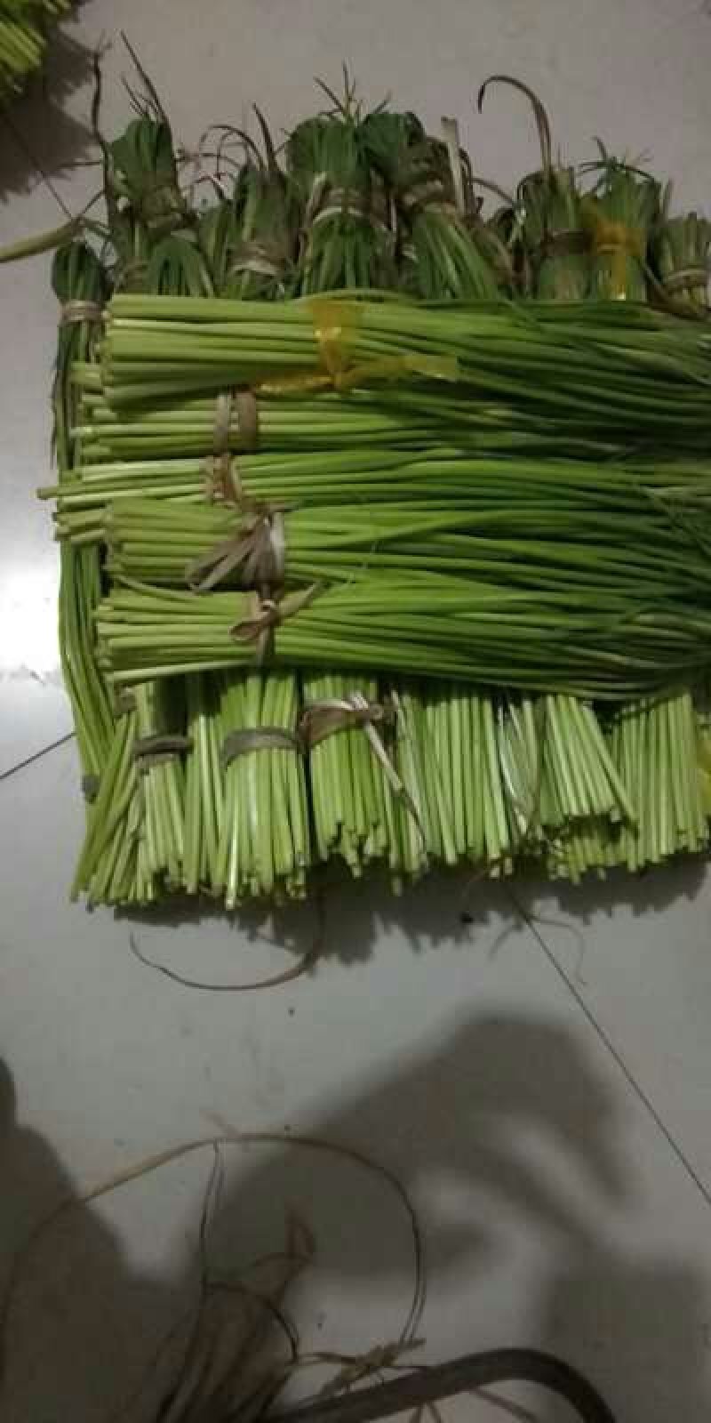 2019鲜蒜苔大量上市