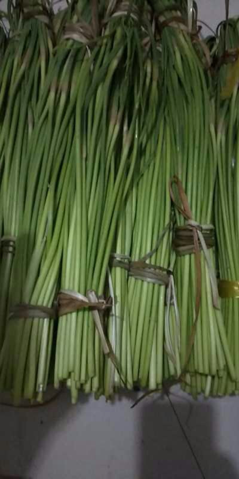 2019鲜蒜苔大量上市