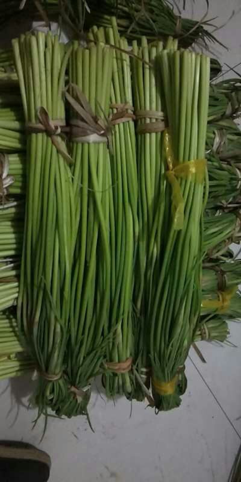 2019鲜蒜苔大量上市