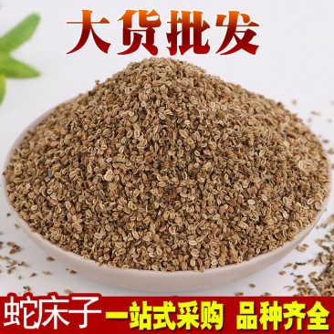 蛇床子供应上千种中药材籽子药大全