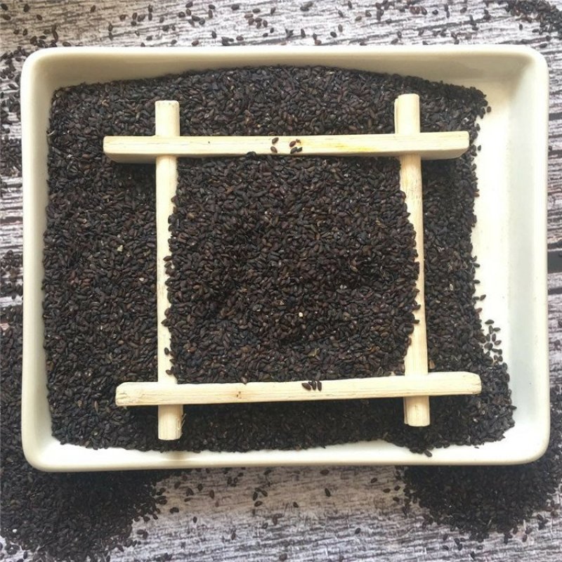 车前子供应上千种中药材批发零售量大从优